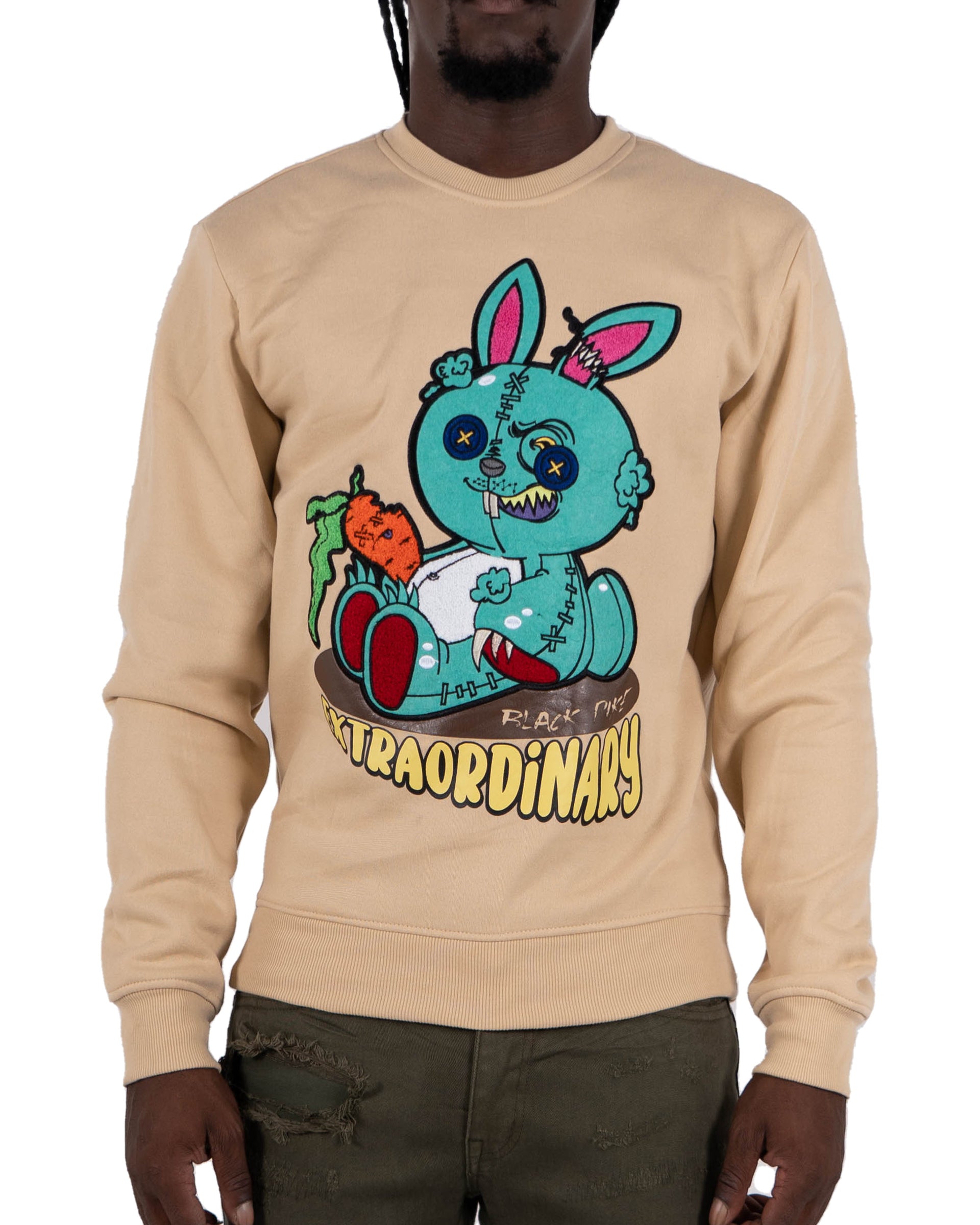 Men's "Extraordinary" Graphic Embroidered Sweatshirt | Khaki