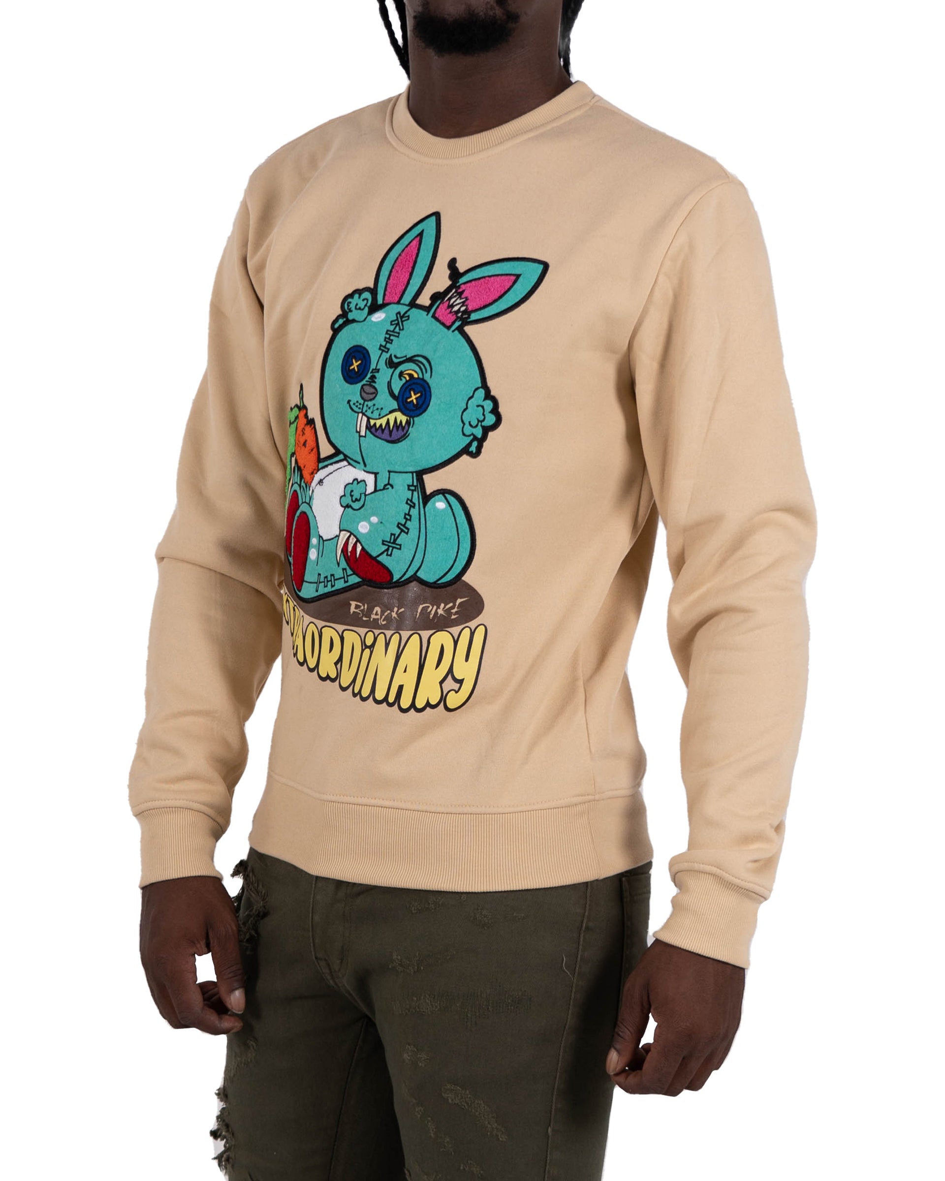 Men's "Extraordinary" Graphic Embroidered Sweatshirt | Khaki