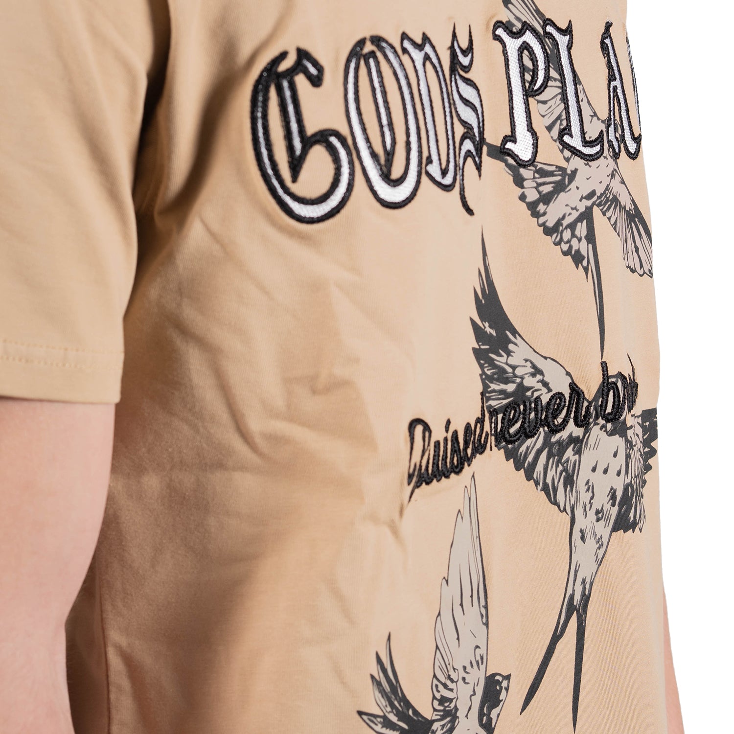 Men's God's Plan Birds Graphic T-Shirt | Tan