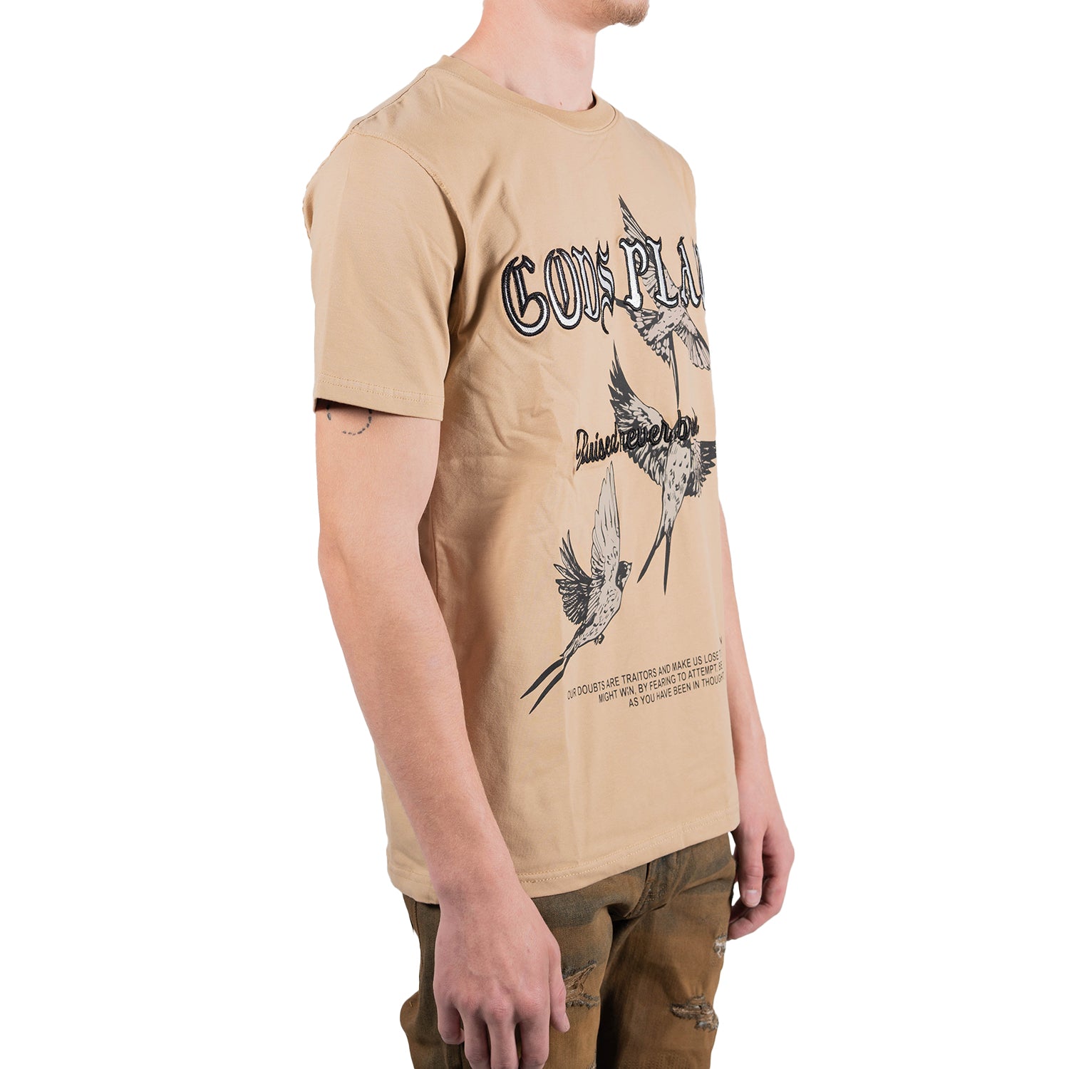 Men's God's Plan Birds Graphic T-Shirt | Tan