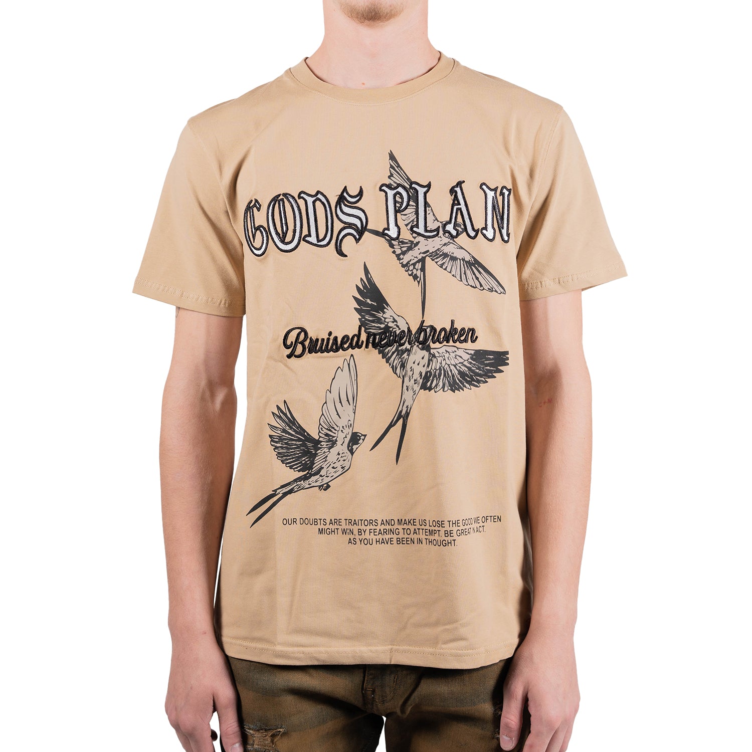 Men's God's Plan Birds Graphic T-Shirt | Tan