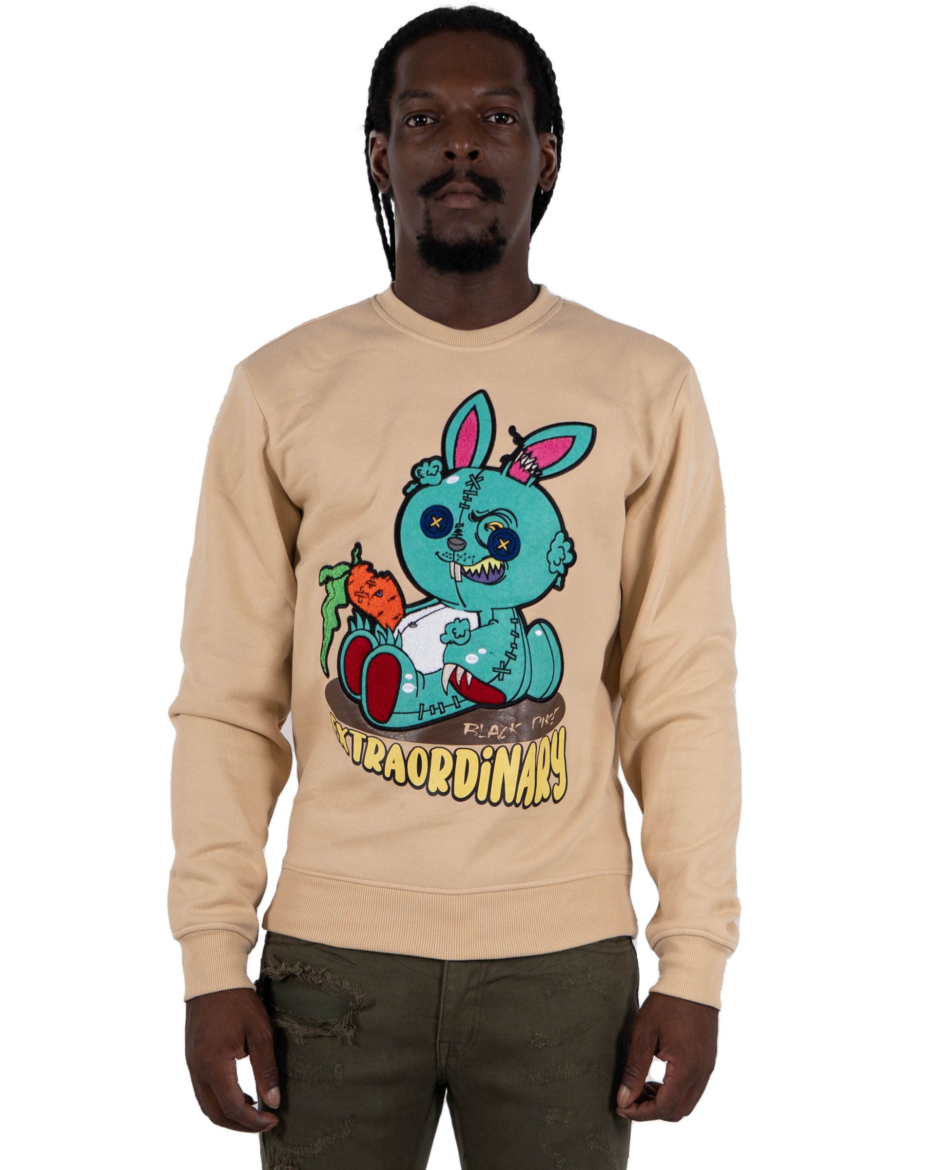 Men's "Extraordinary" Graphic Embroidered Sweatshirt | Khaki